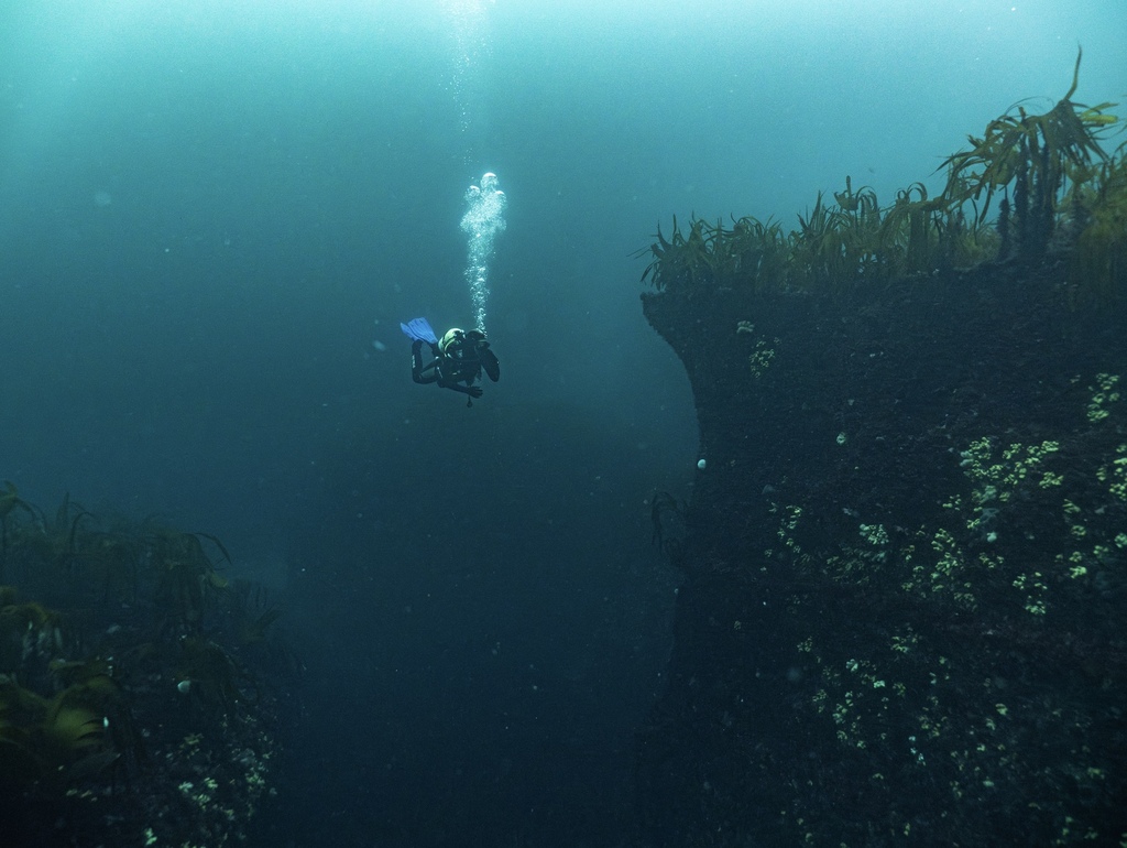 Scuba diver exploring deep Atlantic Ocean near Inishmore, Aran Islands